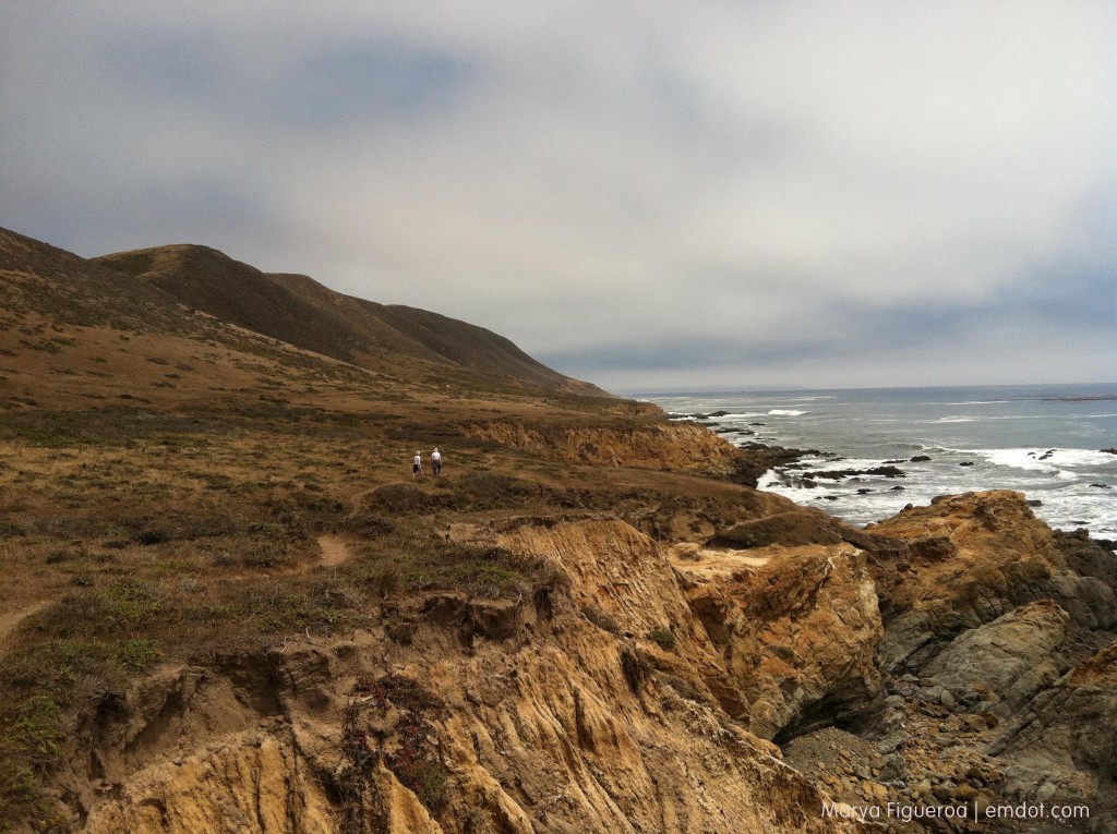 Harmony Headlands