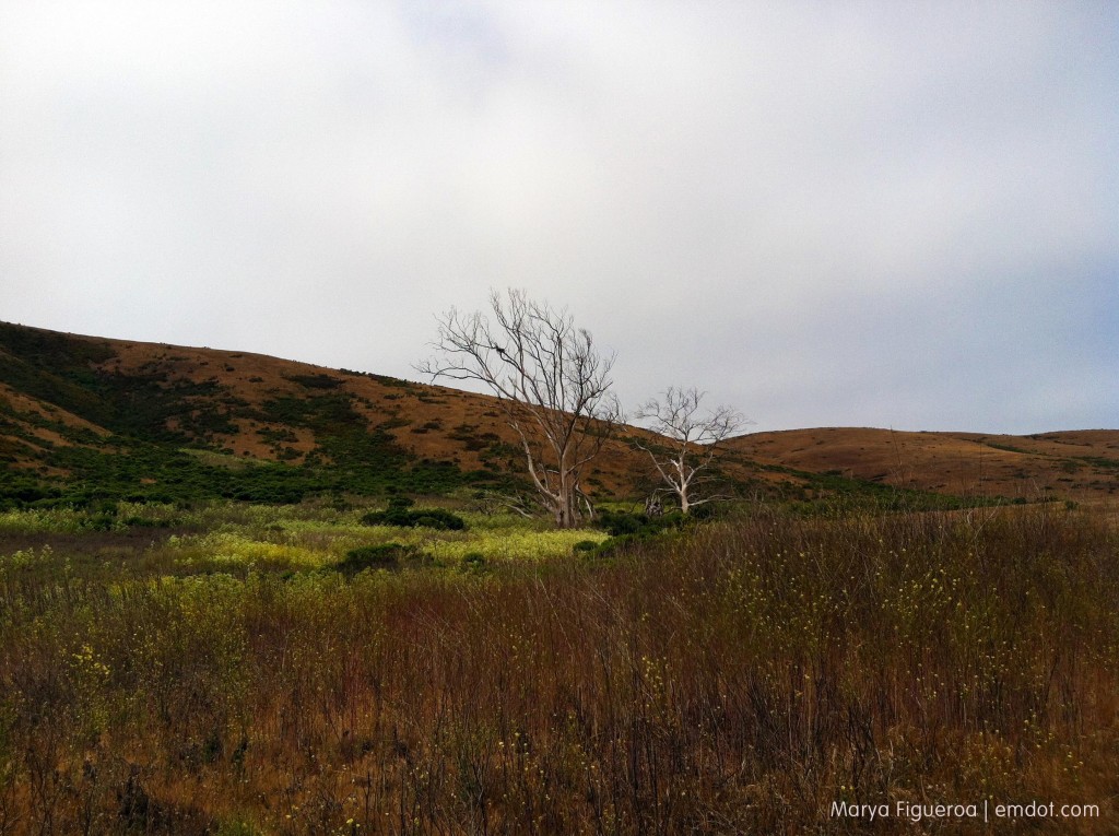 Harmony Headlands hike