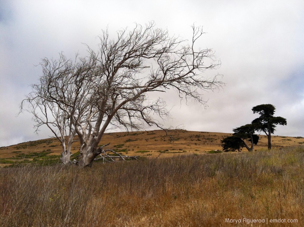 Harmony Headlands hike