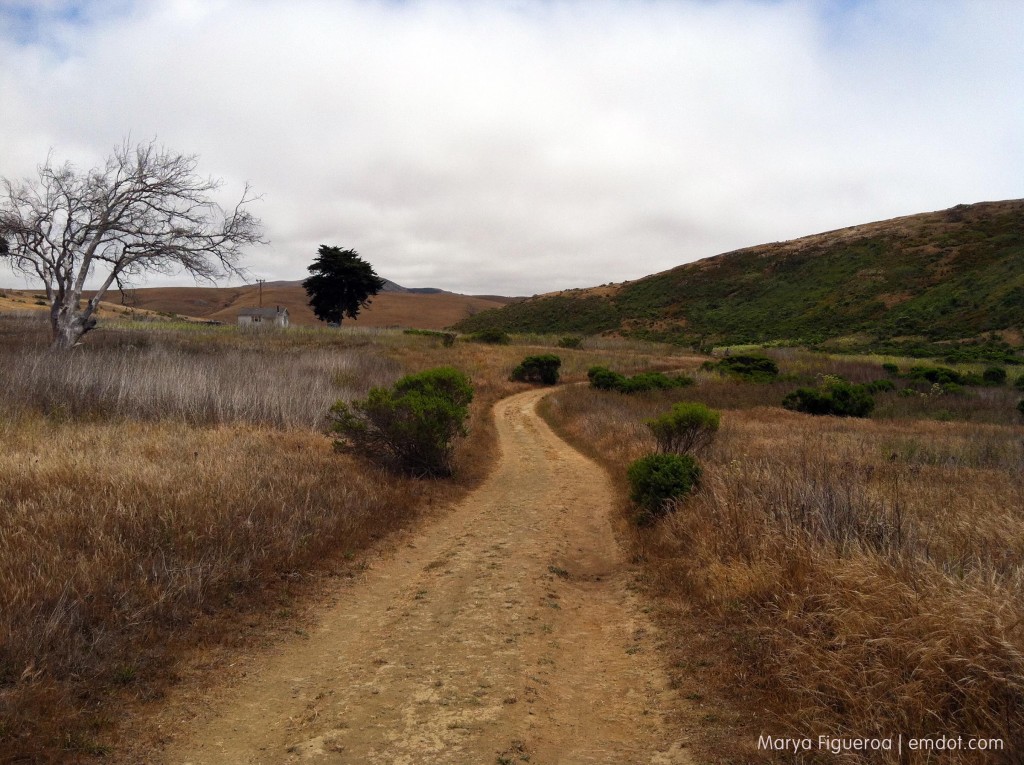 Harmony Headlands hike