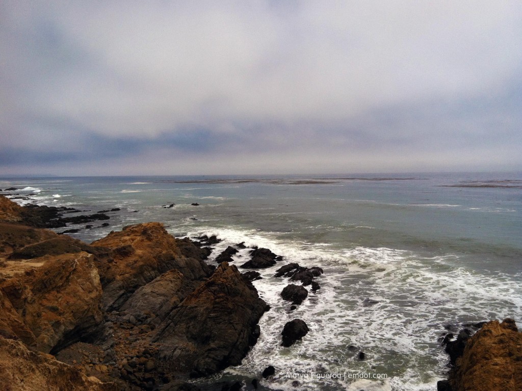Harmony Headlands