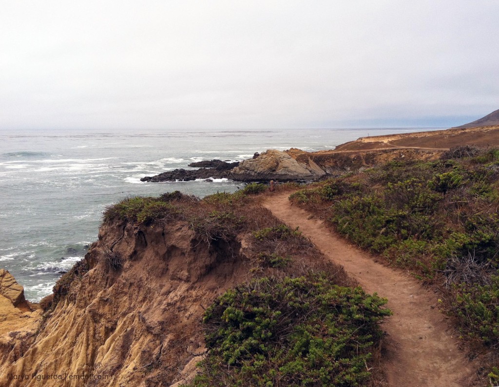 Harmony Headlands