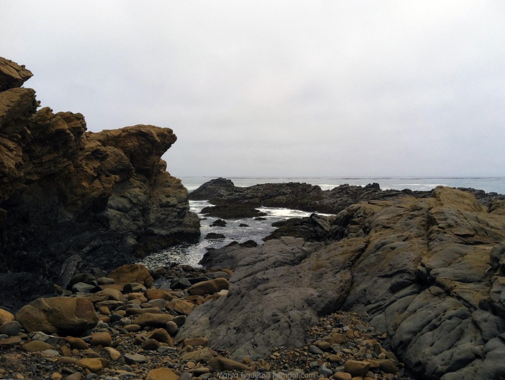 Harmony Headlands