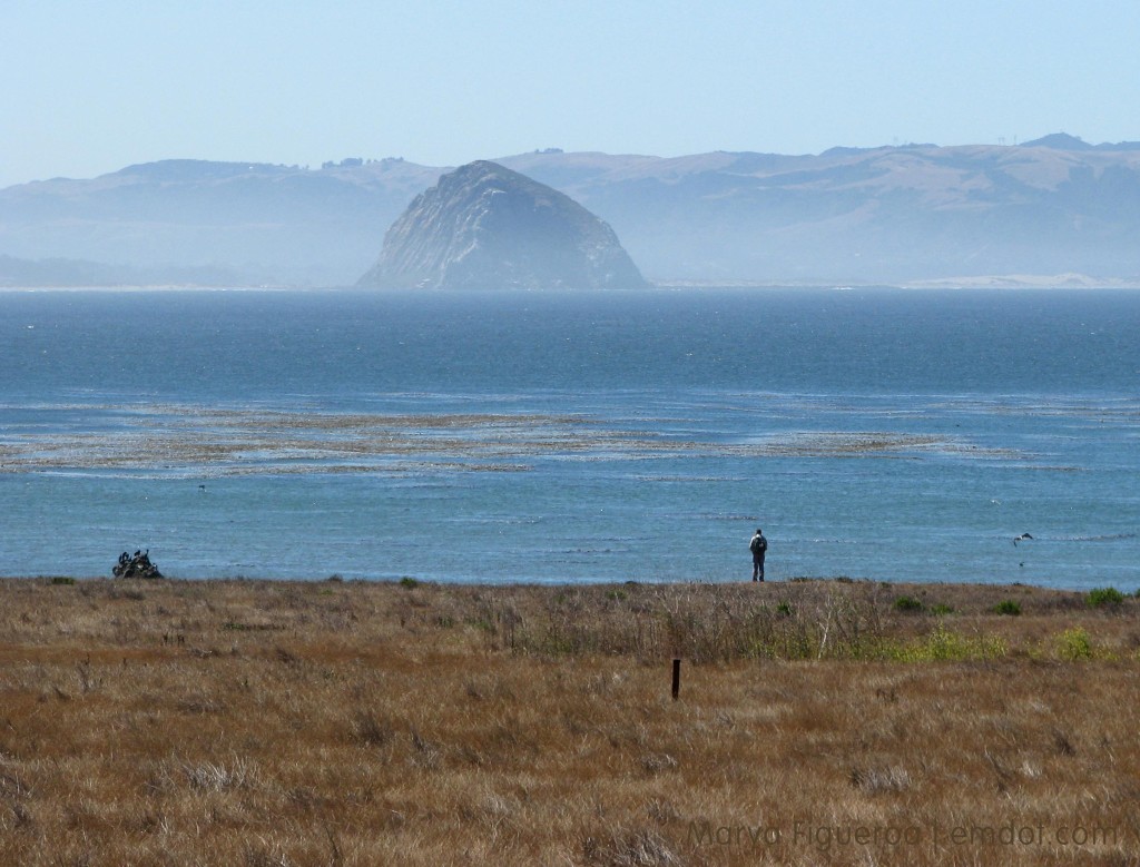 Estero bluffs