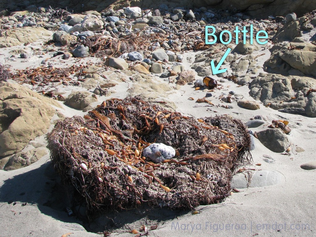 someone left a bottle on the beach (not us!)