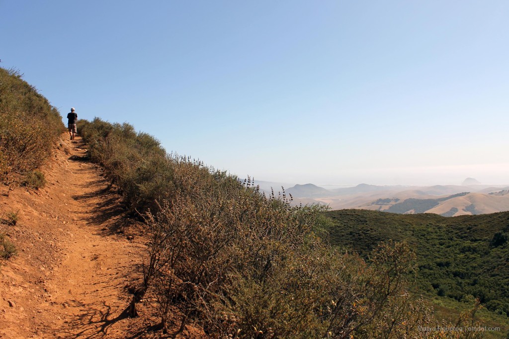 Cerro Alto