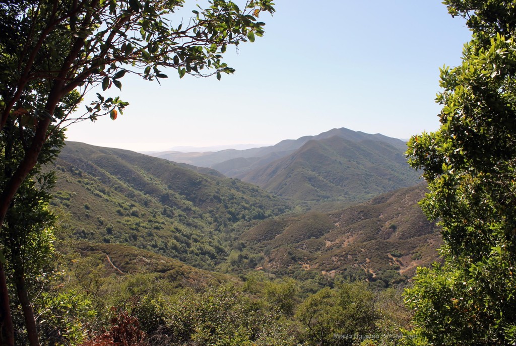 Cerro Alto