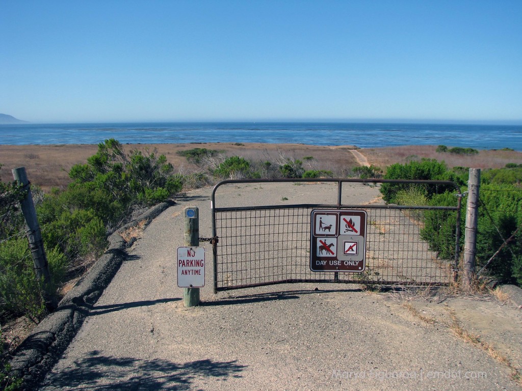 Estero bluffs