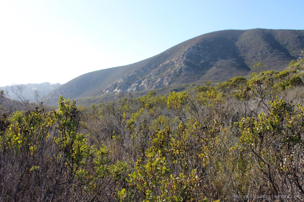 cerro cabrillo