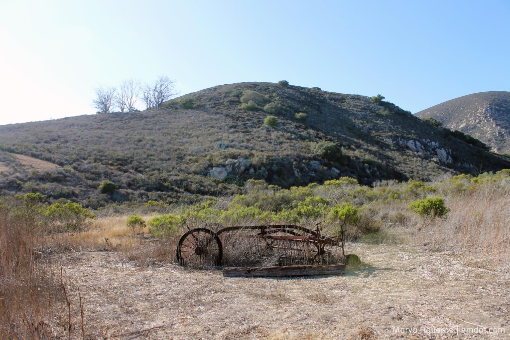 cerro cabrillo