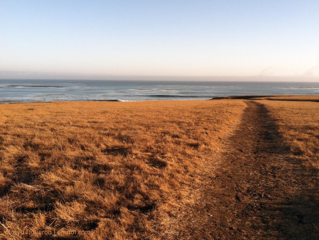 Cayucos, CA