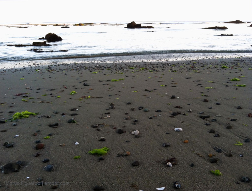 Rocks with ocean view