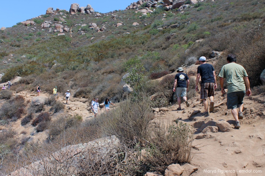 The trail was packed. I thought.