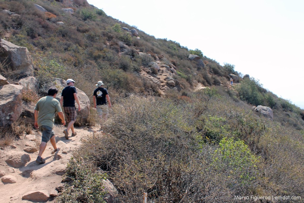 Going up. Steve, Shane, Dan.