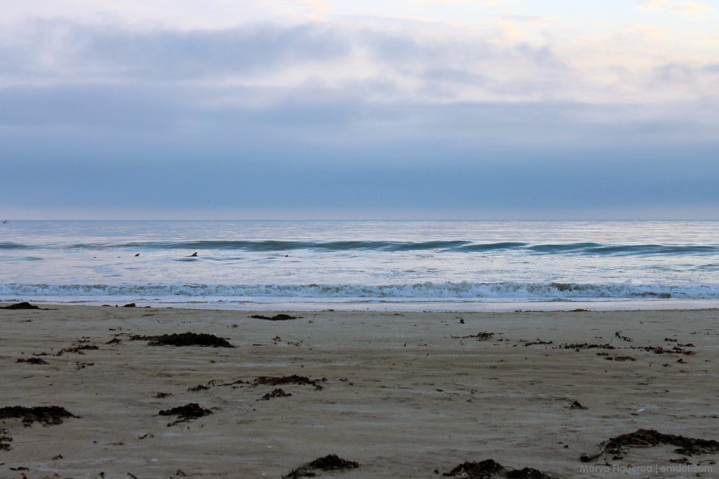 Morro Bay Dog Beach