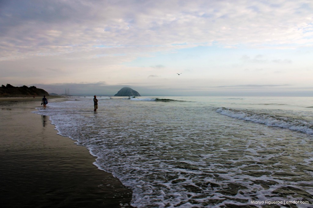 Morro Bay Dog Beach