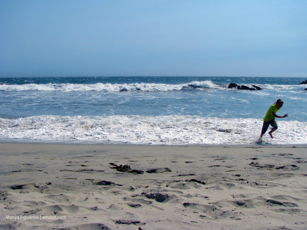 Pfeiffer Beach running from waves