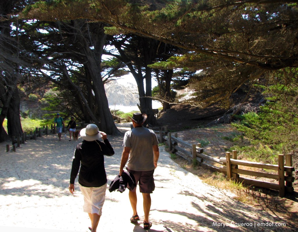 Pfeiffer Beach path