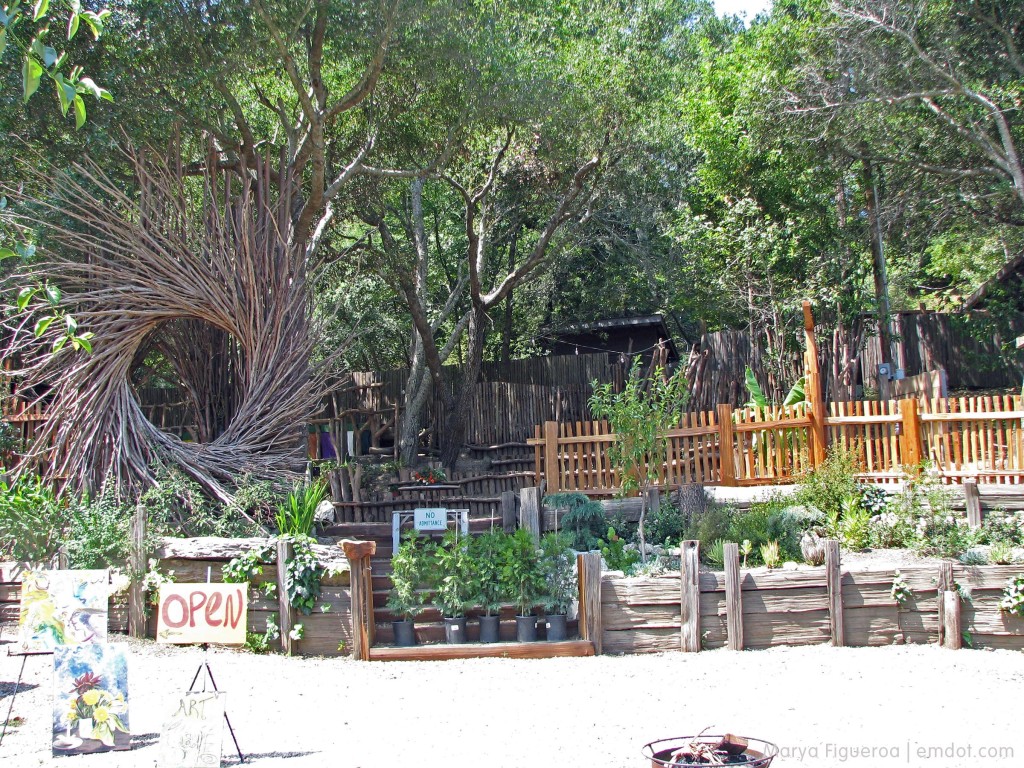 Big Sur Bakery garden