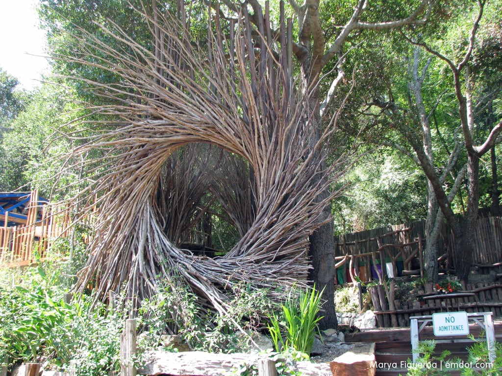 Big Sur Bakery garden