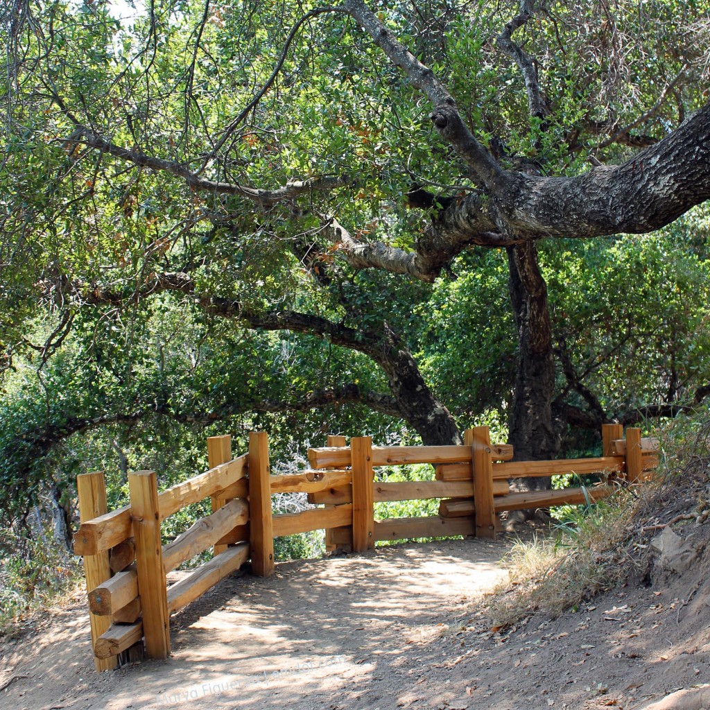 valley view trail