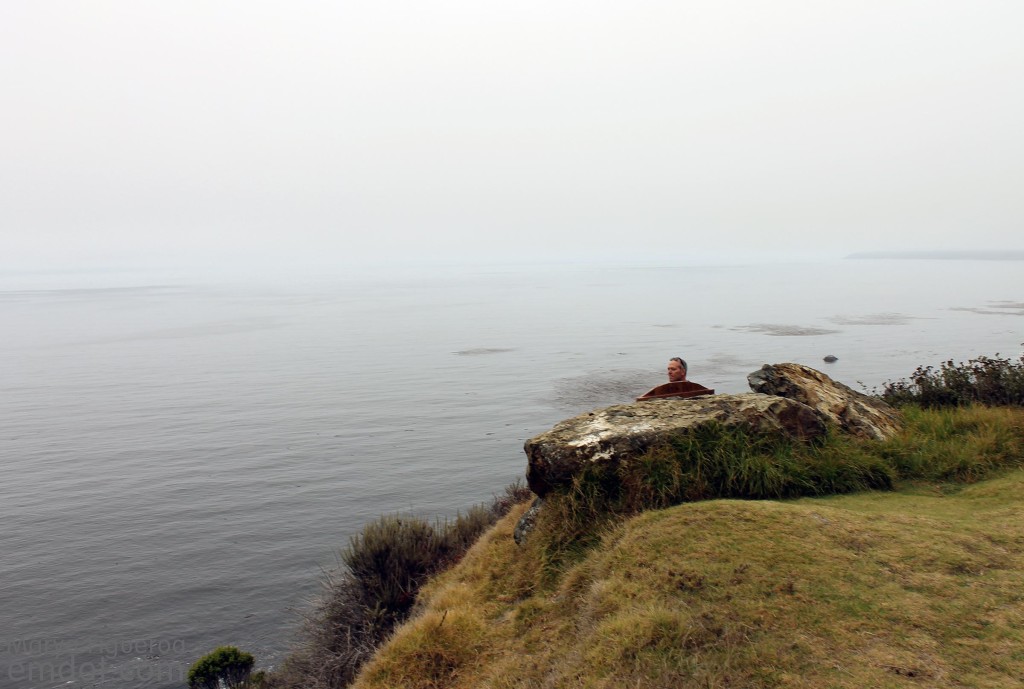 this is the hidden bench