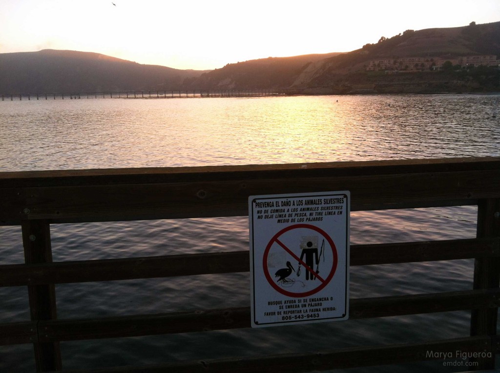 Pier rules + sunset