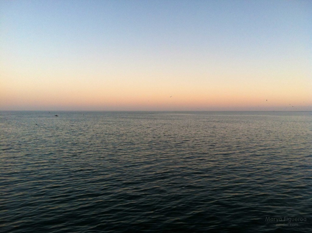 From the pier, looking out to sea