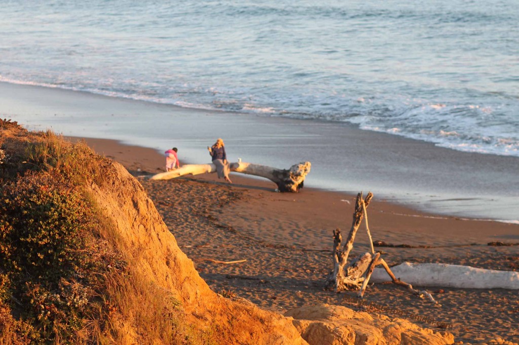 Cambria Moonstone Beach