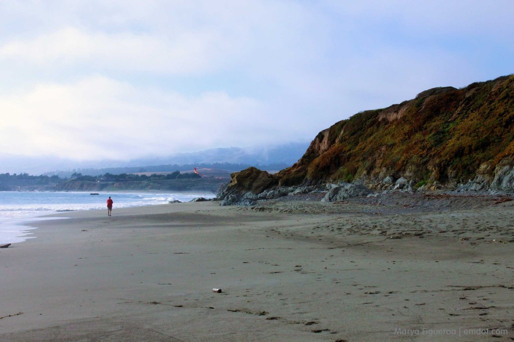 Flying the kite