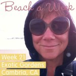 Week 21