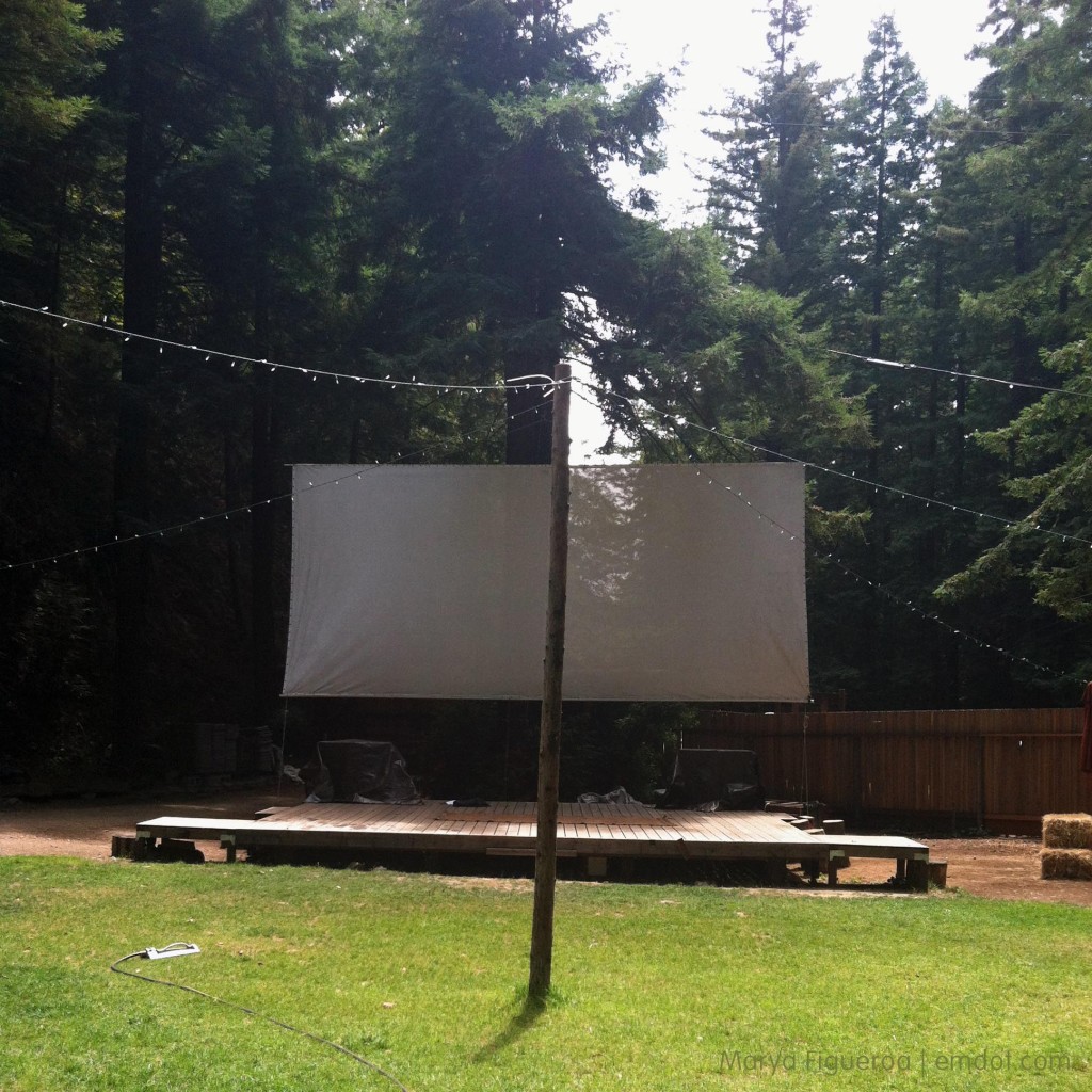 stage and grass -- where the performances happen