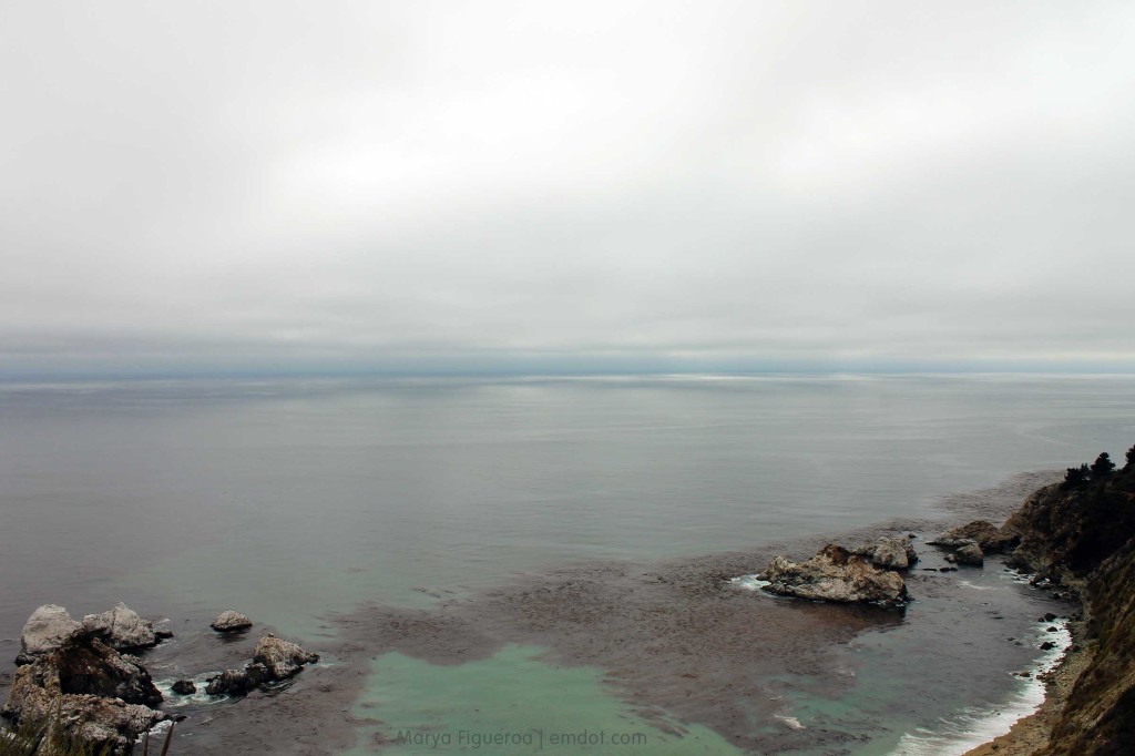 Low clouds; tons of kelp visible from the surface of the ocean