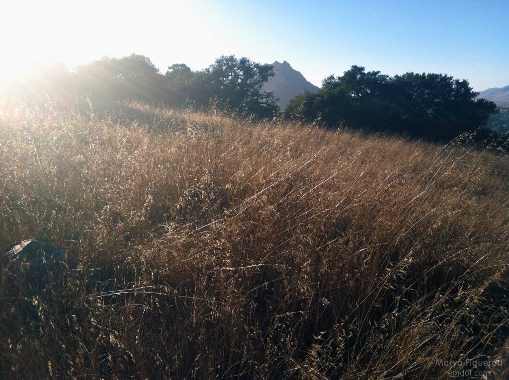 Lemon Grove Loop hike