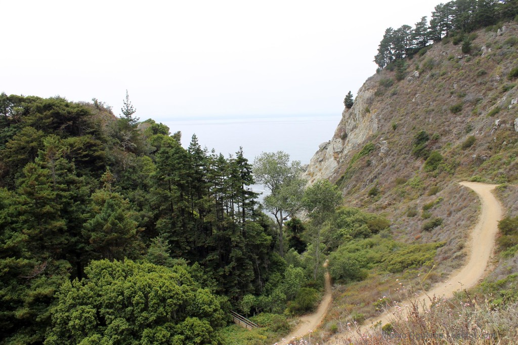 Trail down to Partington Cove