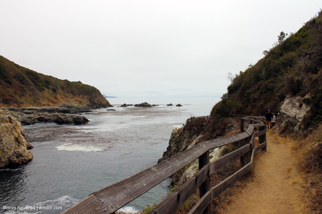 Trail to the end of the cove