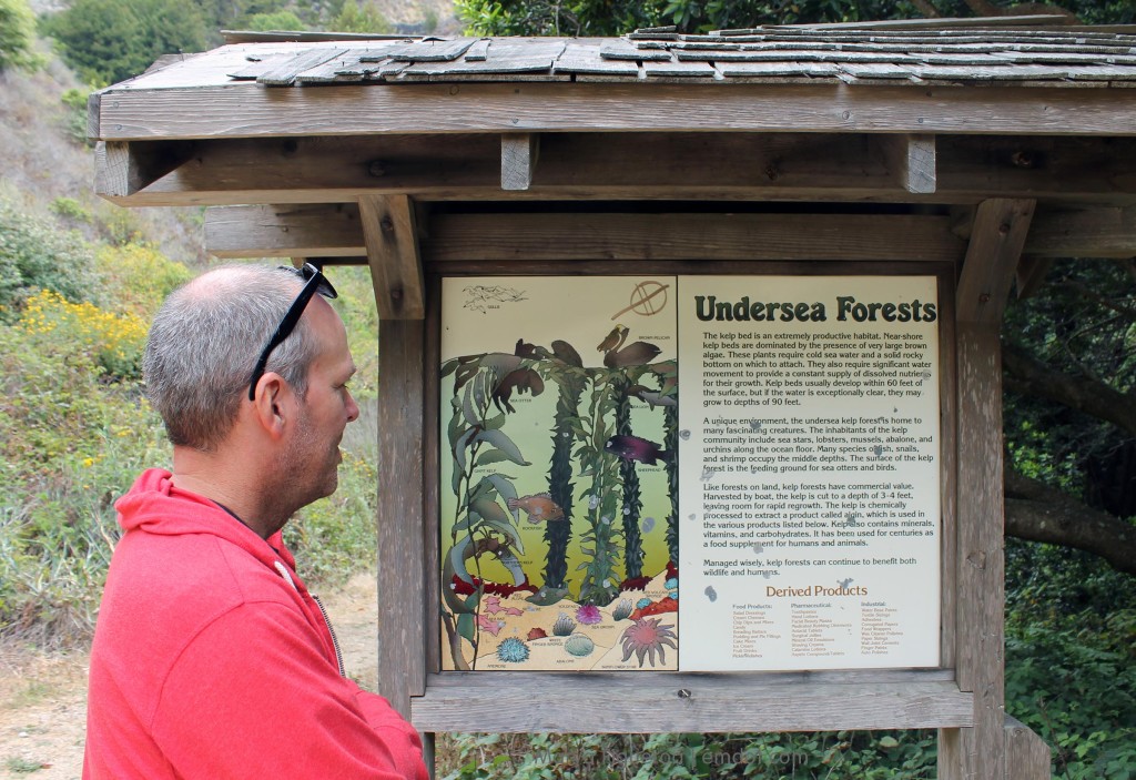 Sign about what's under the sea -- kelp, fish, etc