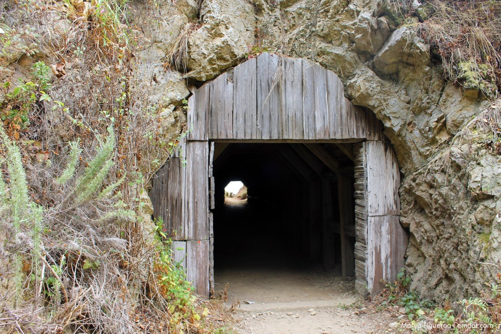 The tunnel to Partington Cove