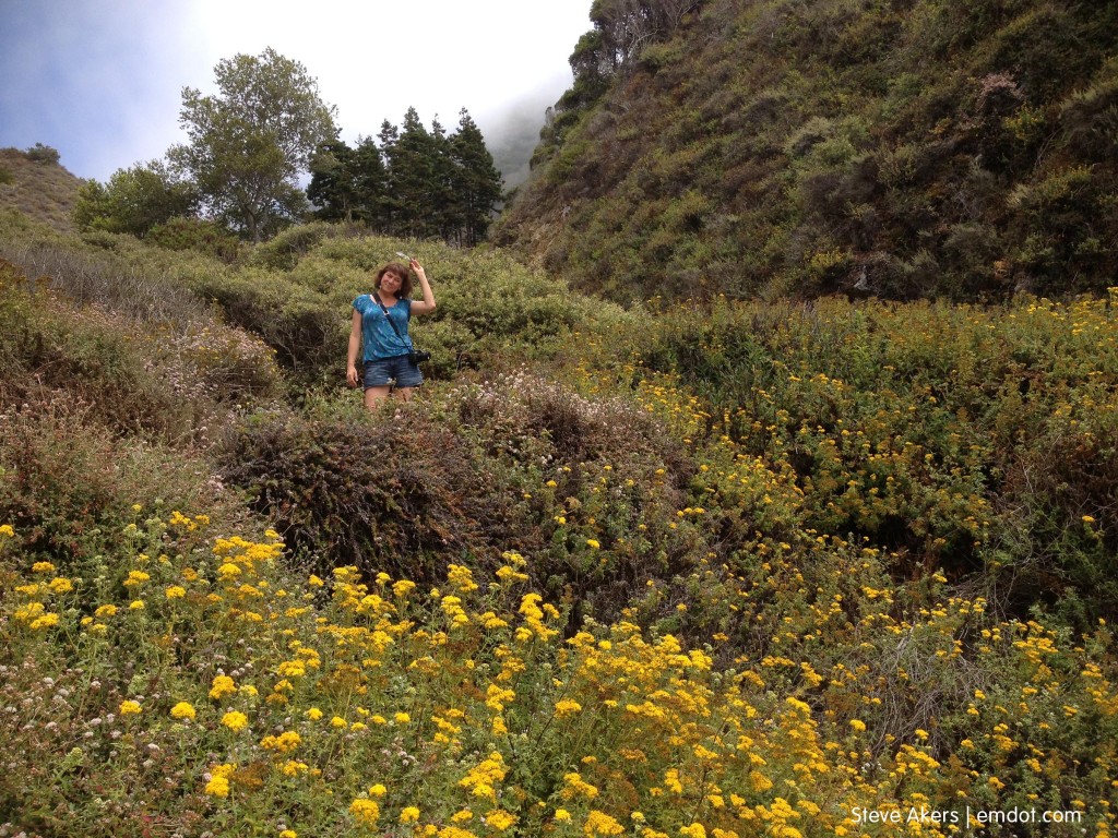 me on the trail, tho it looks like i'm in the flowers