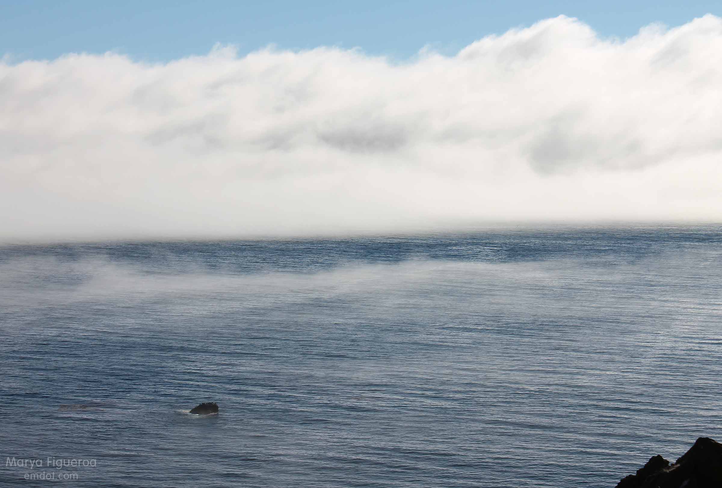 fog bank