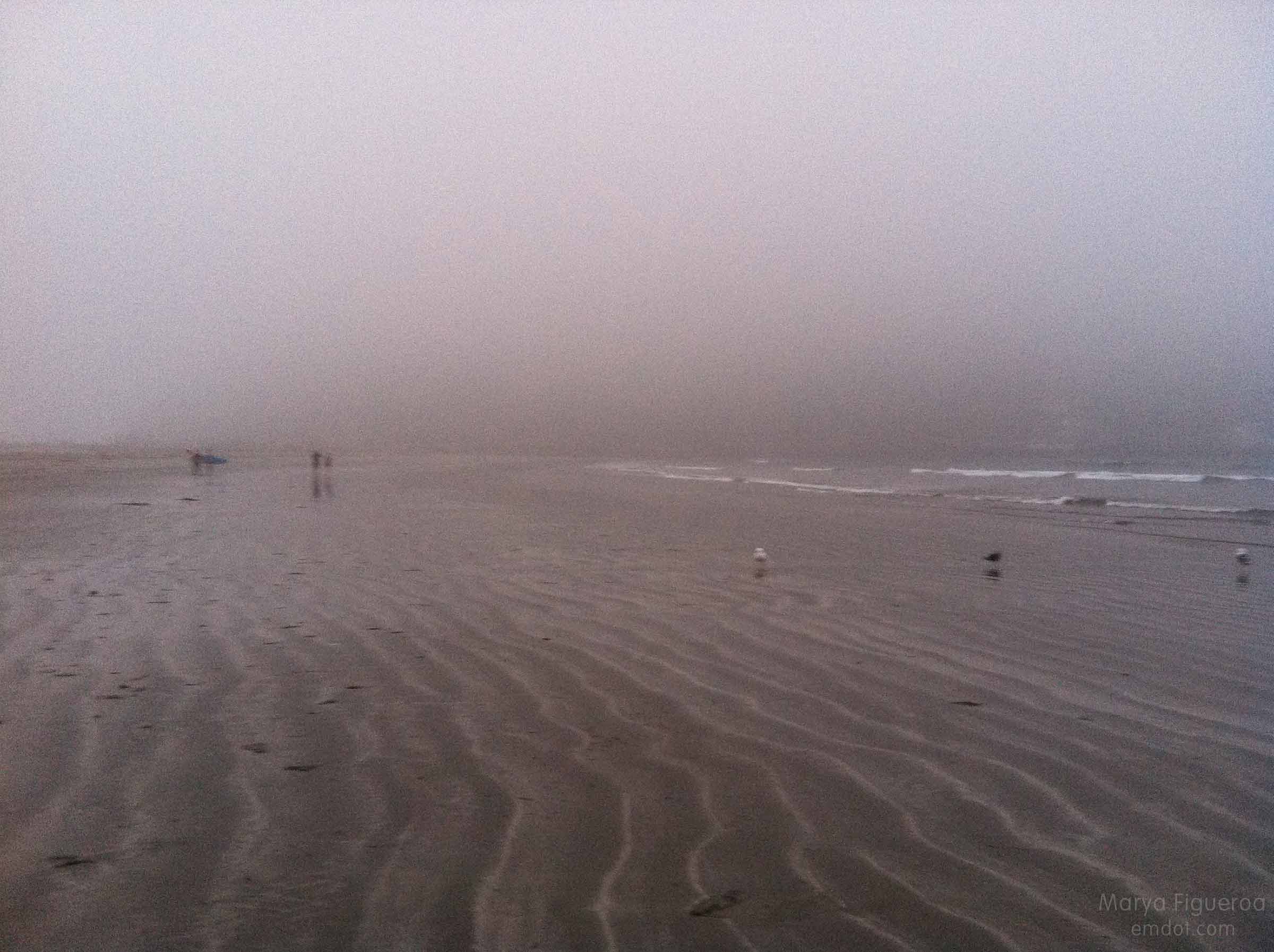 foggy beach at morro rock