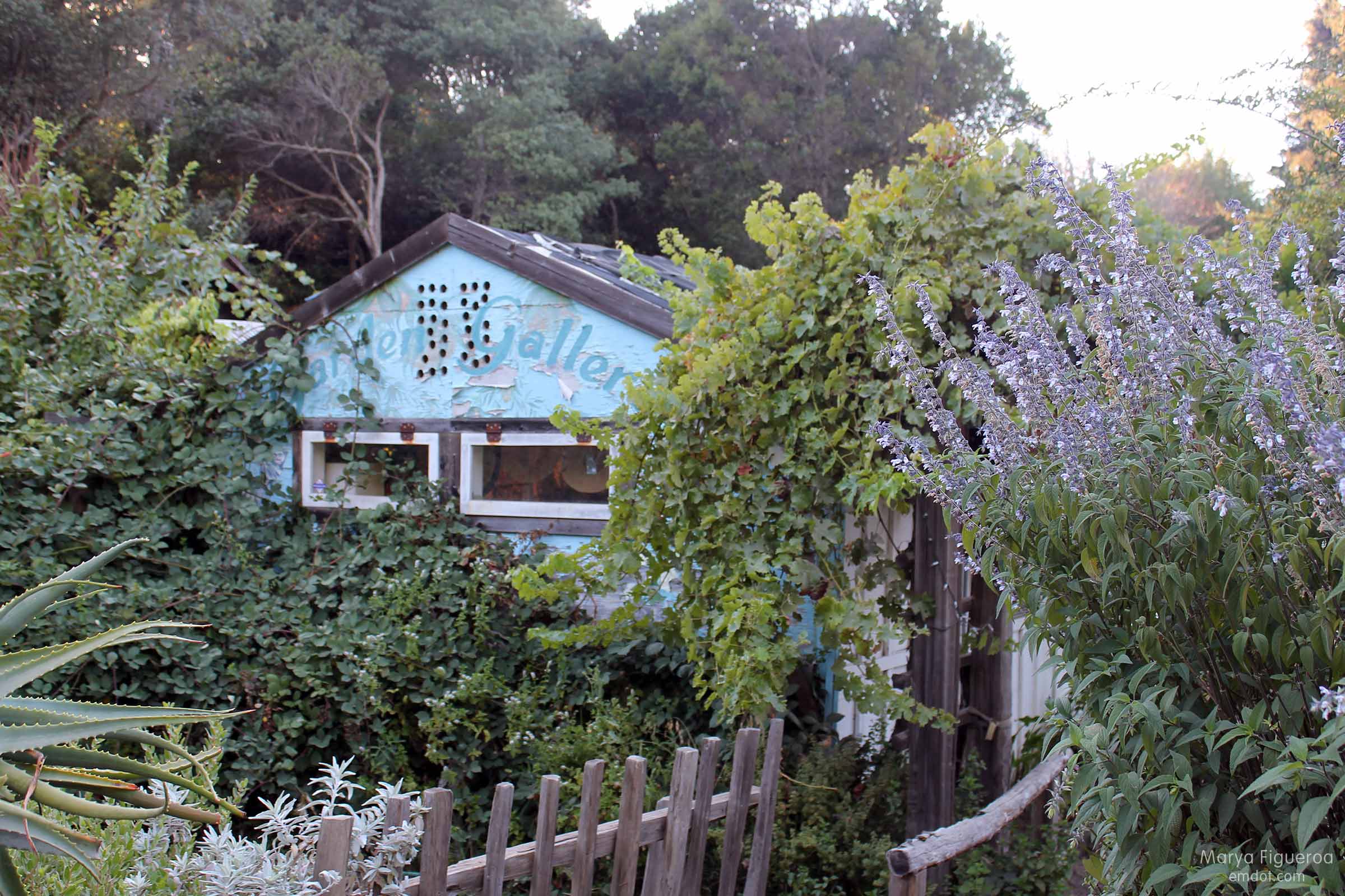 Garden Shed