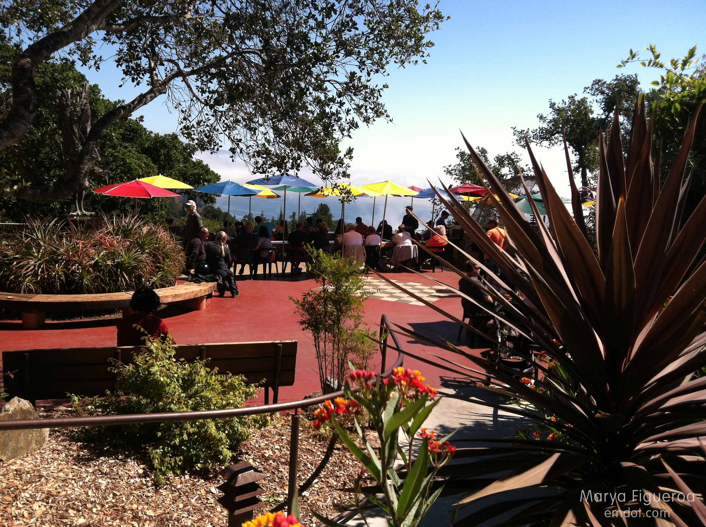 over the nepenthe patio
