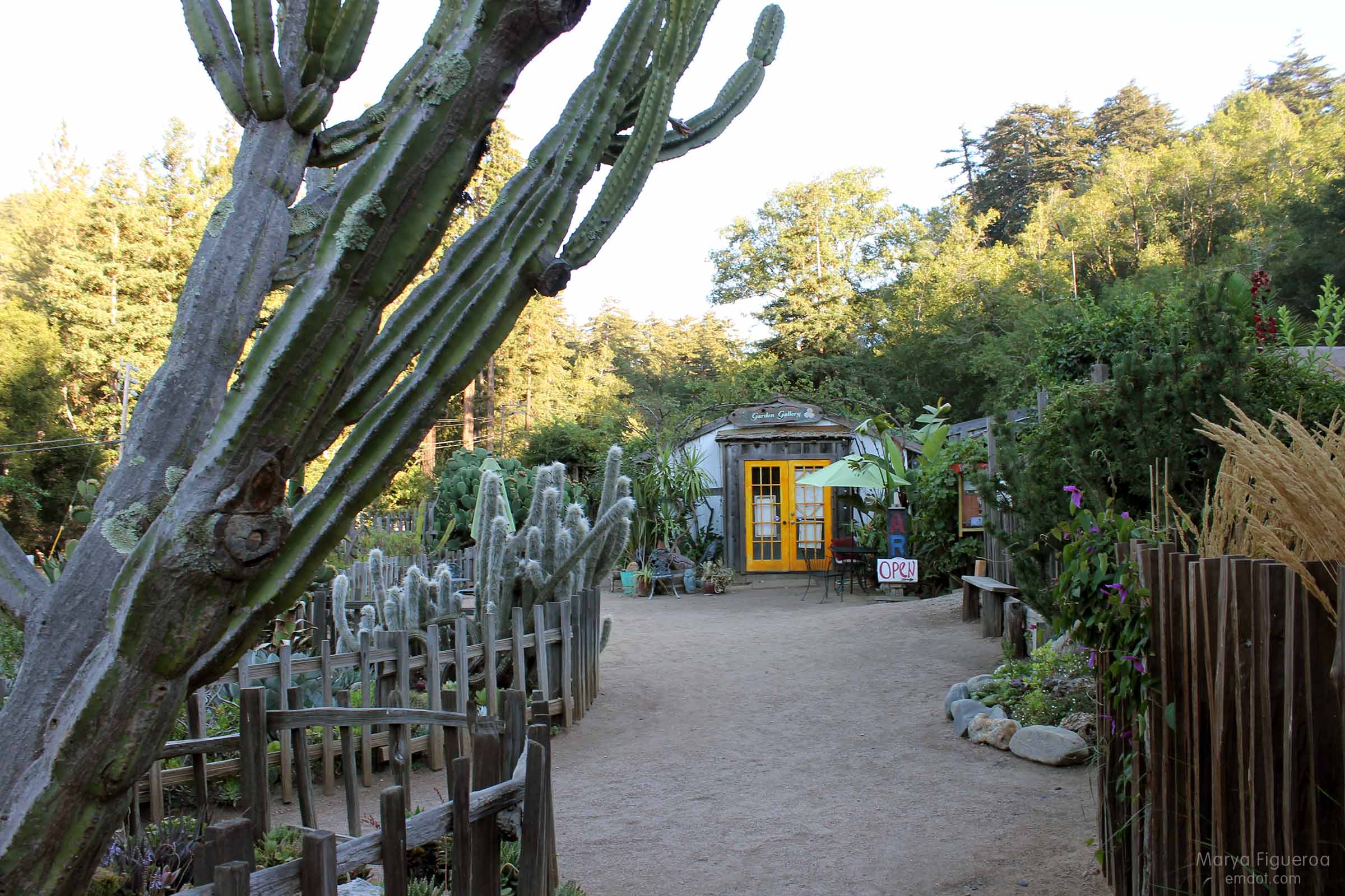 garden shed