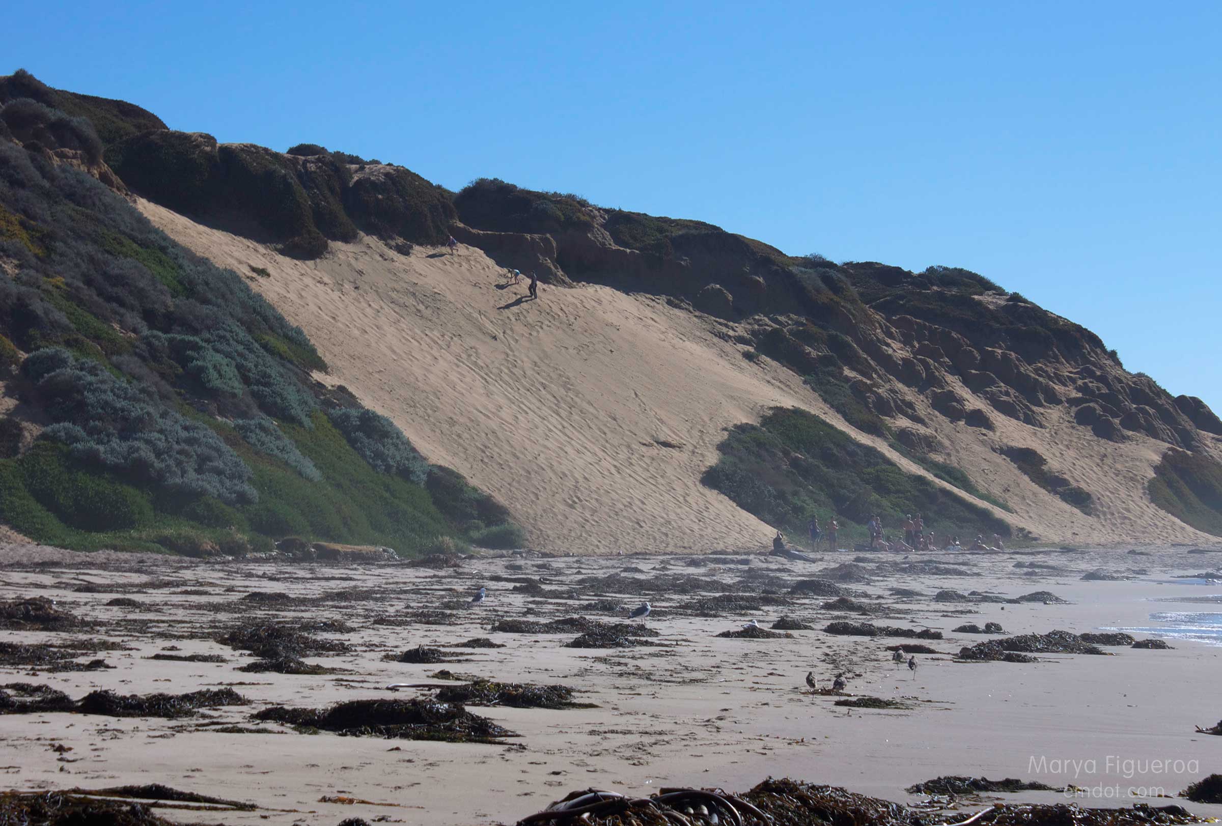 running down the enormous dune