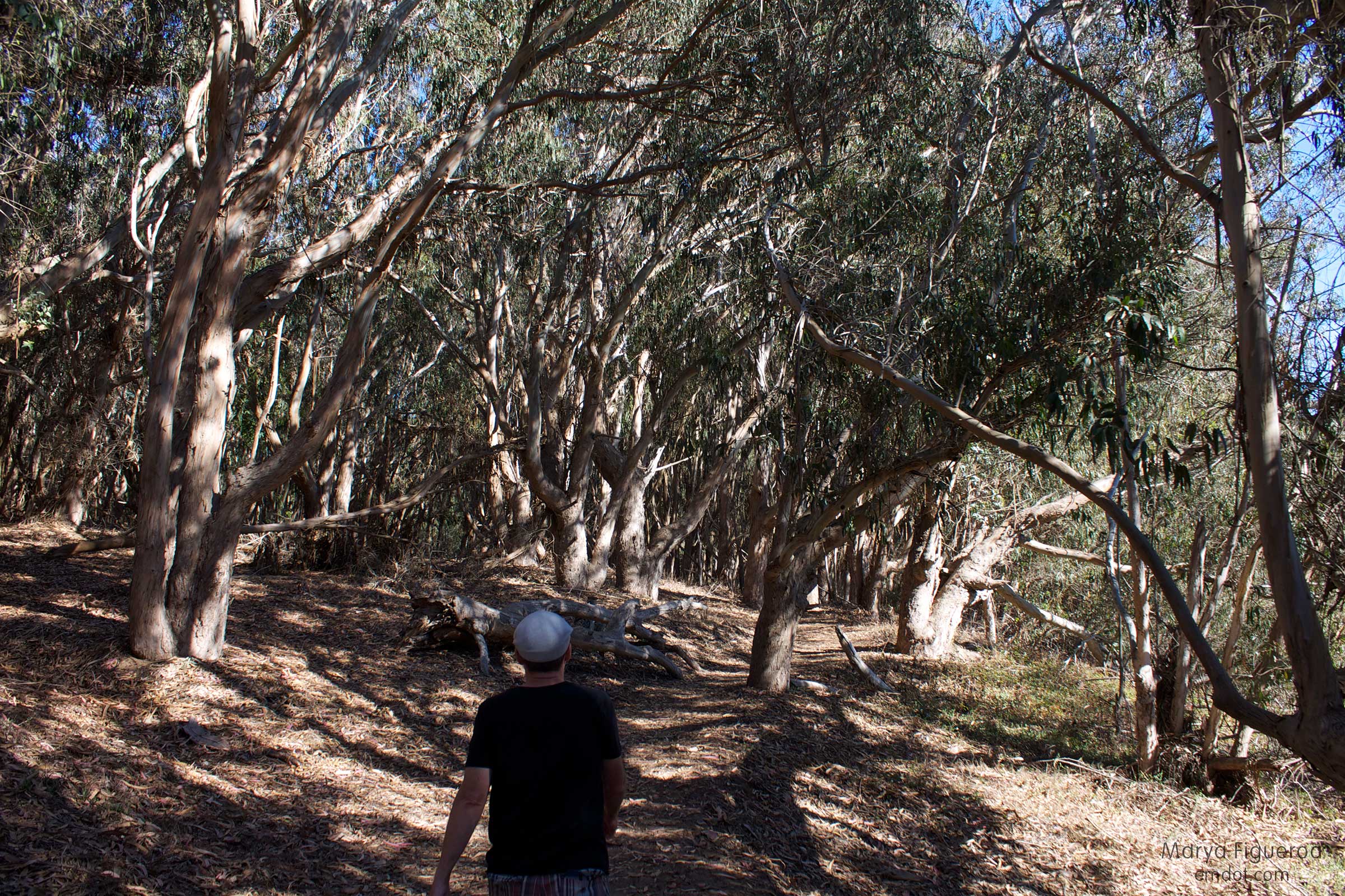 walking the canyon
