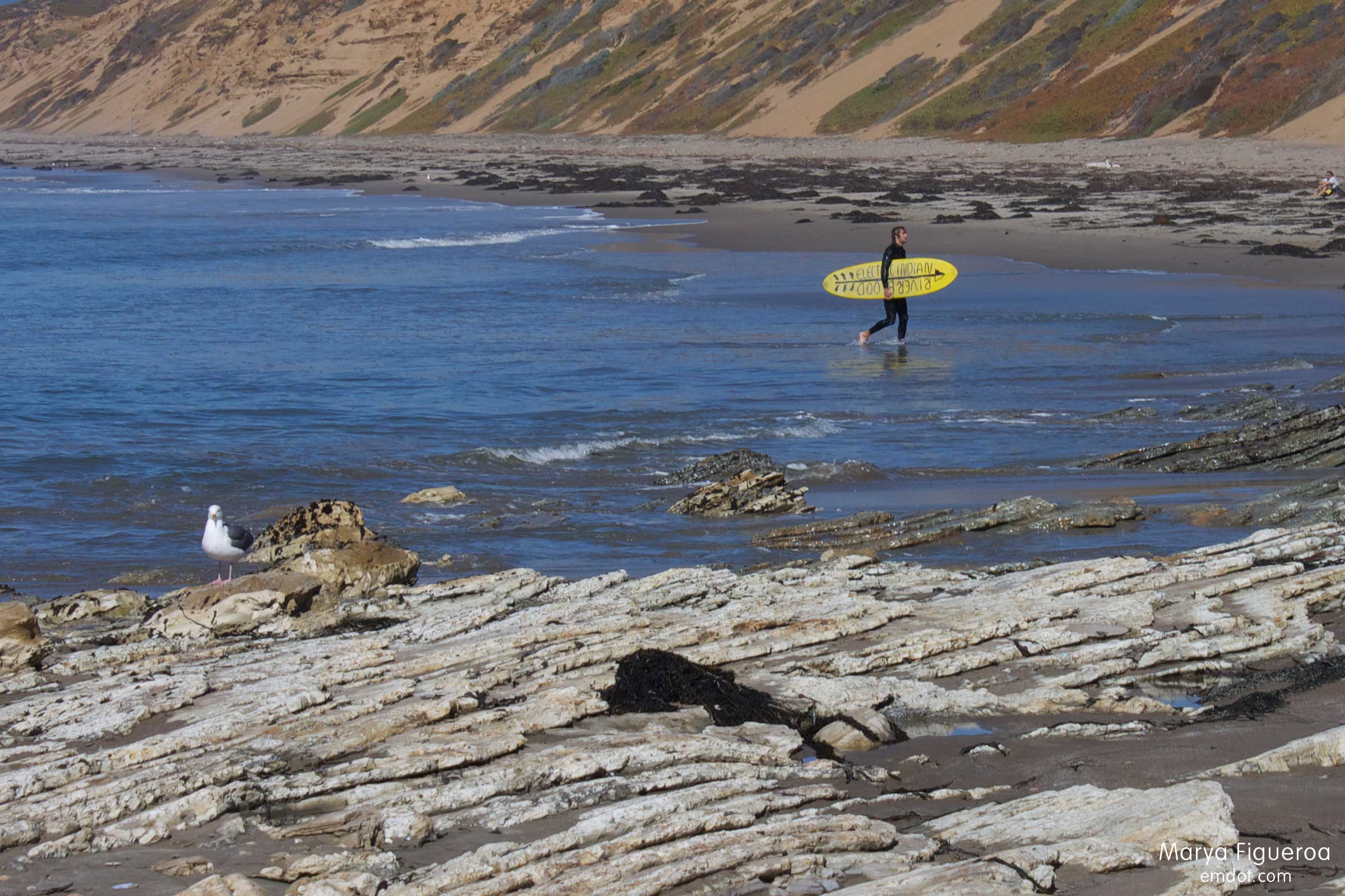 surfer walking in