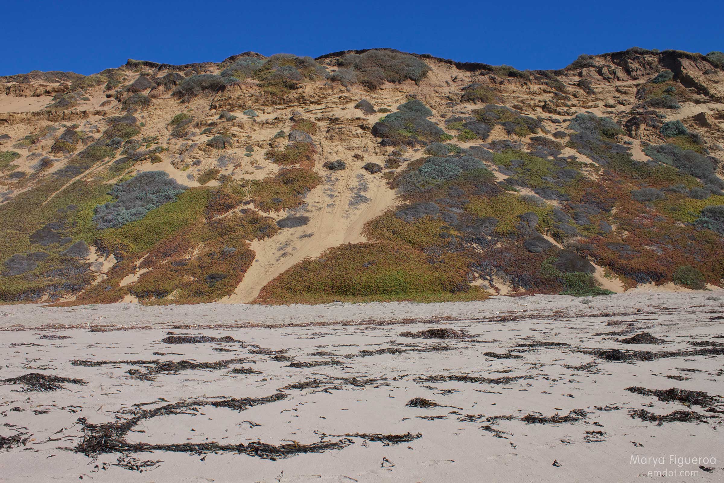 the sandy cliff
