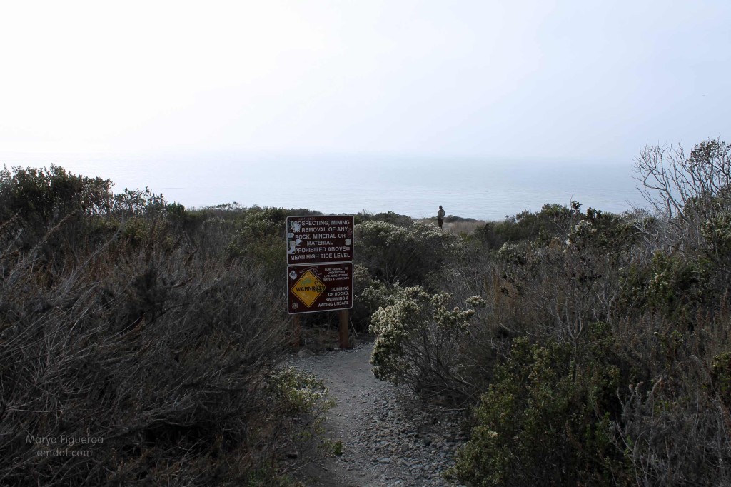 Top of the trail