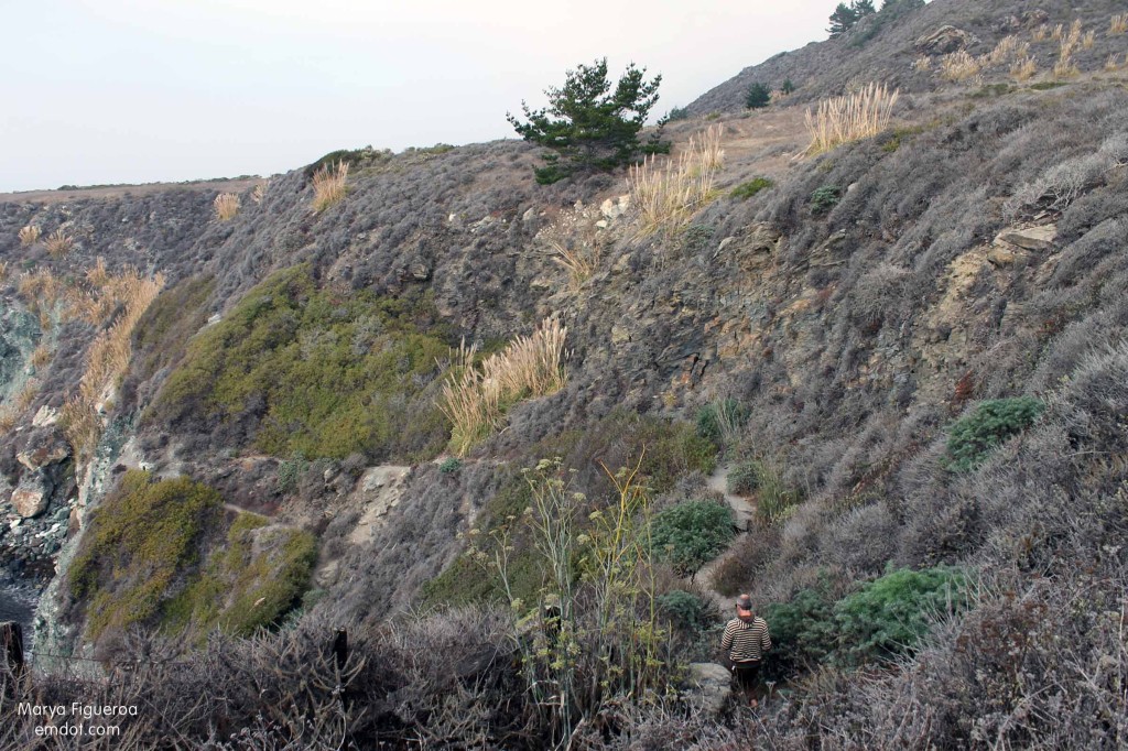 trail down hillside